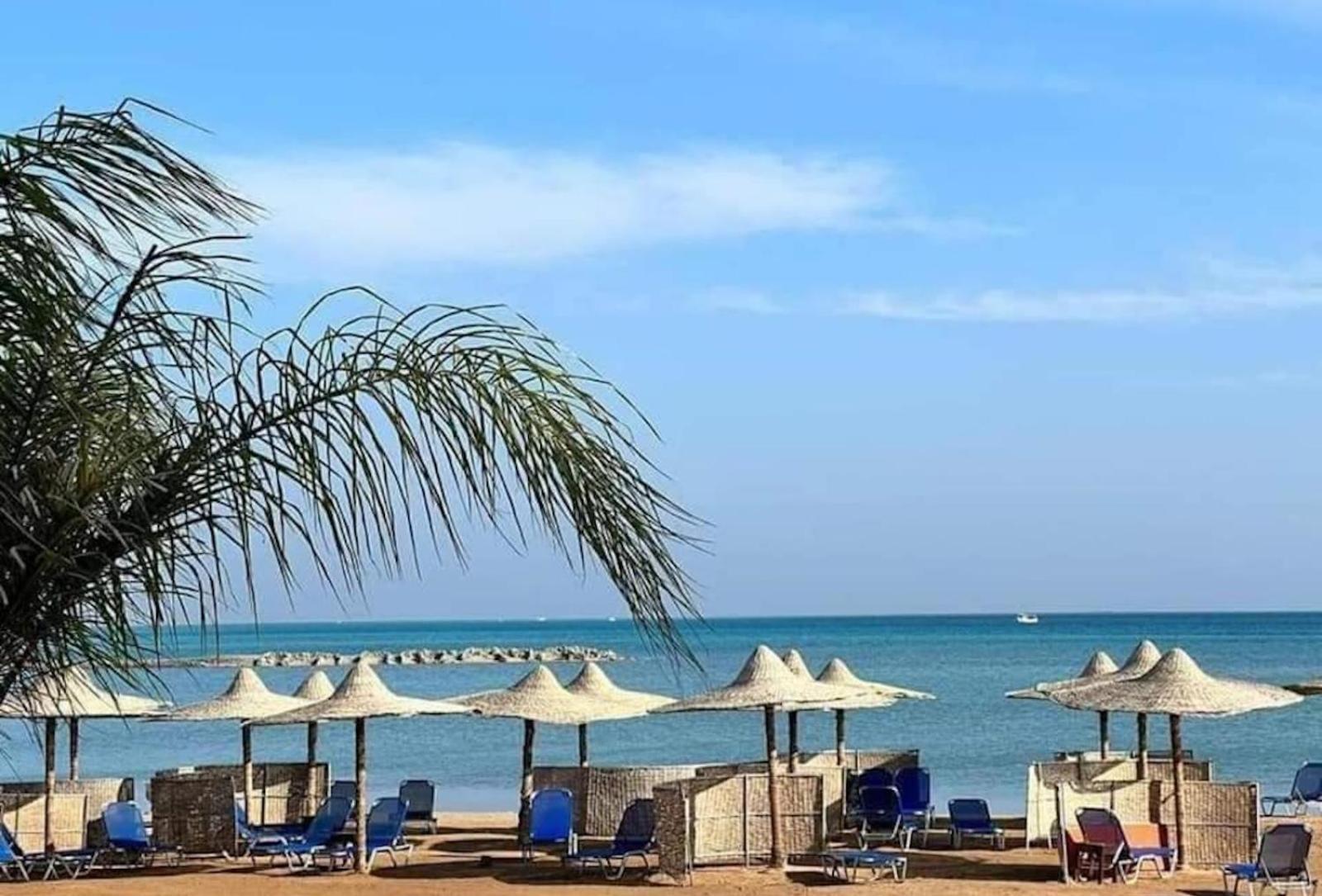 Comfort Zone At Turtles Beach Resort Hurgada Dış mekan fotoğraf